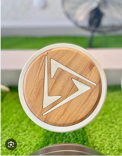 SK MAGNUM PLUS 30WATTS INVERTER