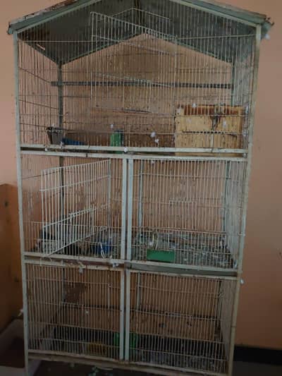 Full Size Cage available