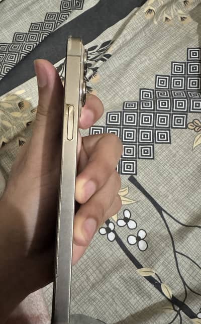 13 pro max  PTA Approved