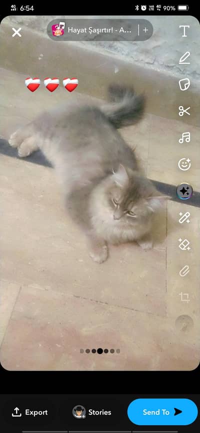 i want to sel my cat because my baby comes to afraid from the cat