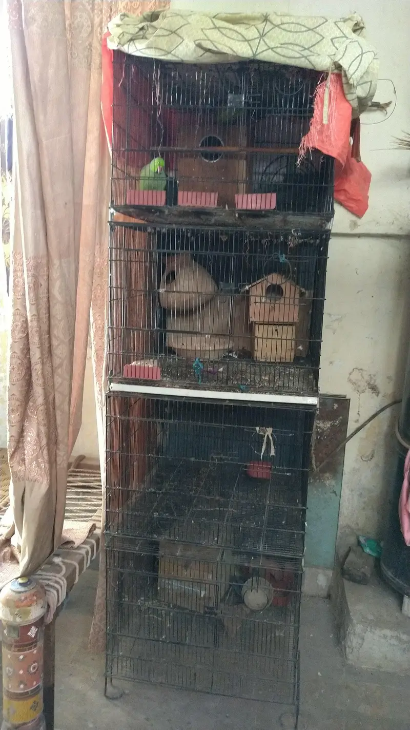 4 portion folding Cage