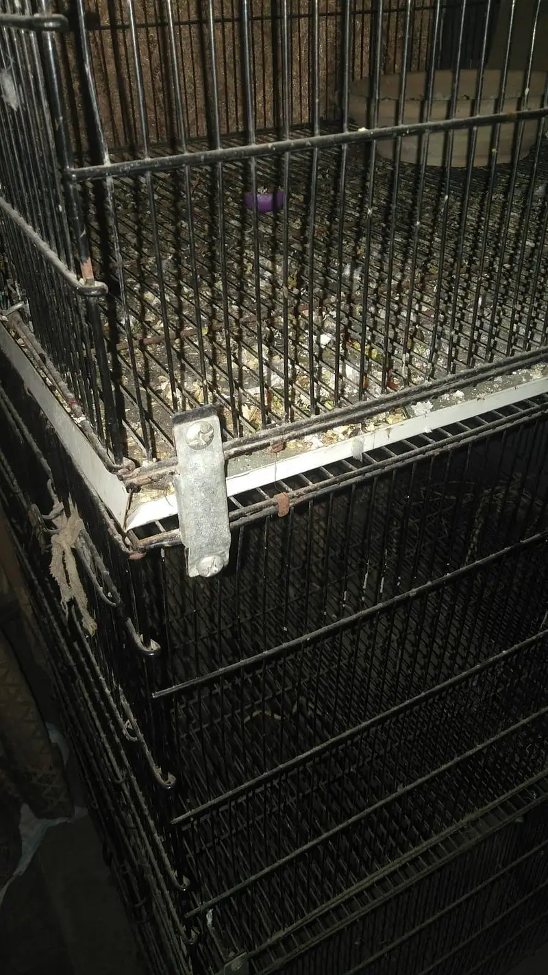4 portion folding Cage — photo 2