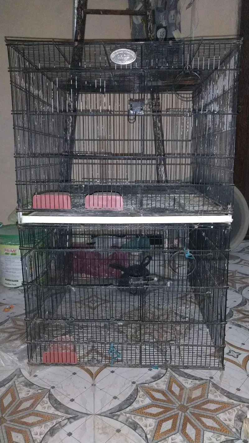 4 portion folding Cage — photo 3