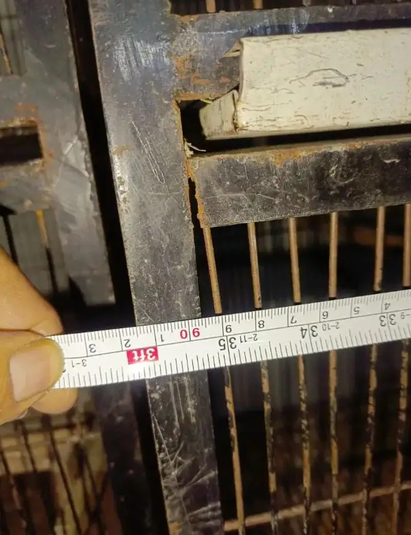 strong iron birds cages — photo 2