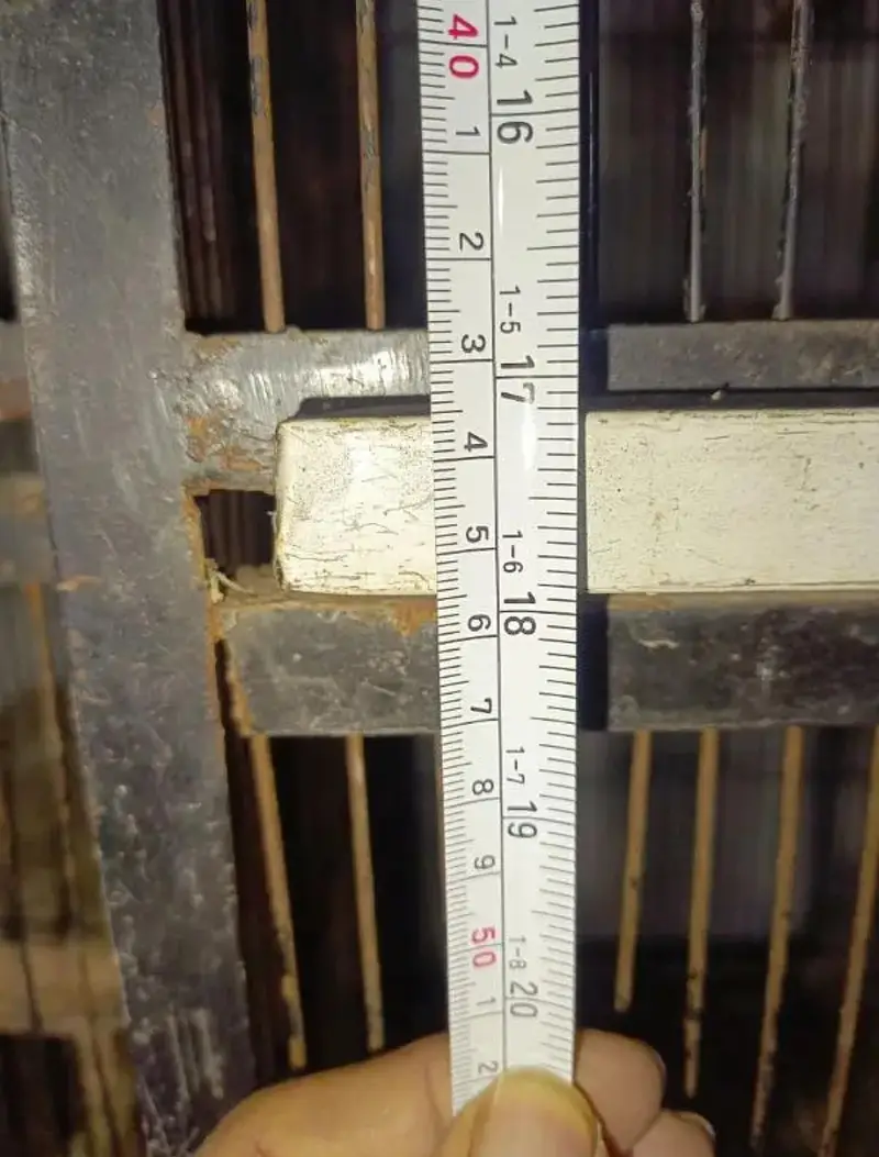 strong iron birds cages — photo 5