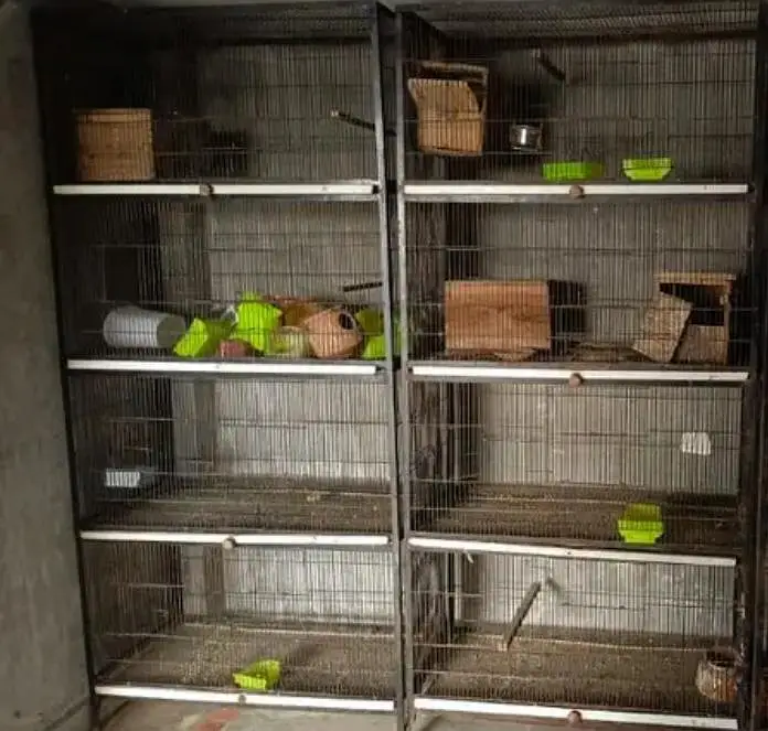 strong iron birds cages — photo 6