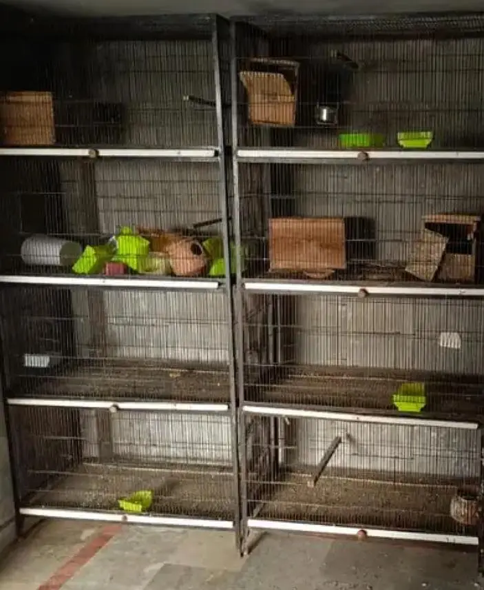 strong iron birds cages — photo 7