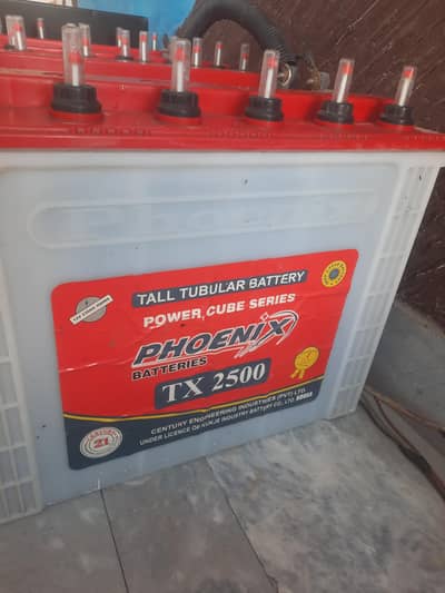 phoenix batterys for sale