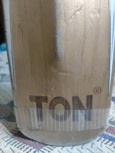 Indian t20 champion bat 03052749856