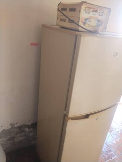 PEL COMPANY MEDIUM FREEZER