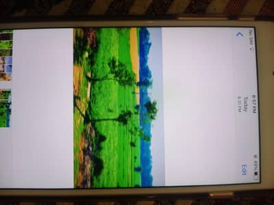 iPhone 7plus for sale urgent