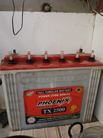 phoenix Tubular battery.