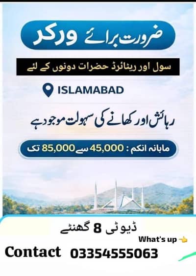 need helper or senior worker's