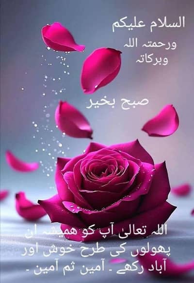 Ghar may cook Job chahy 03345450584