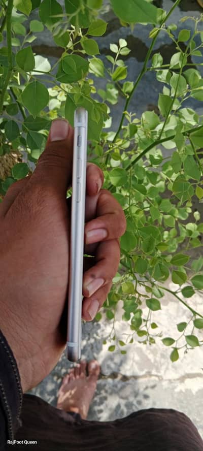 iPhone 7 official PTA proved