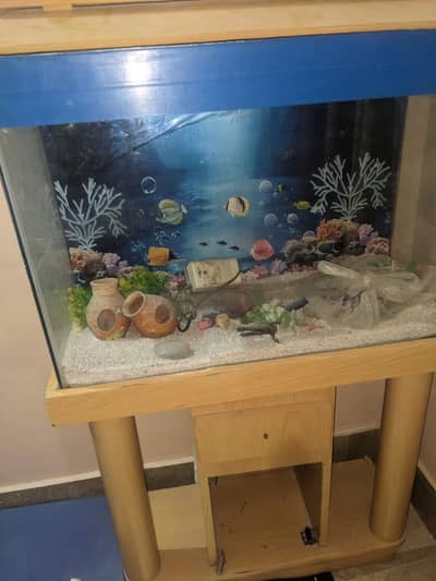 Aquarium Urgent Sale