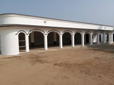 paint service in mandi budadin