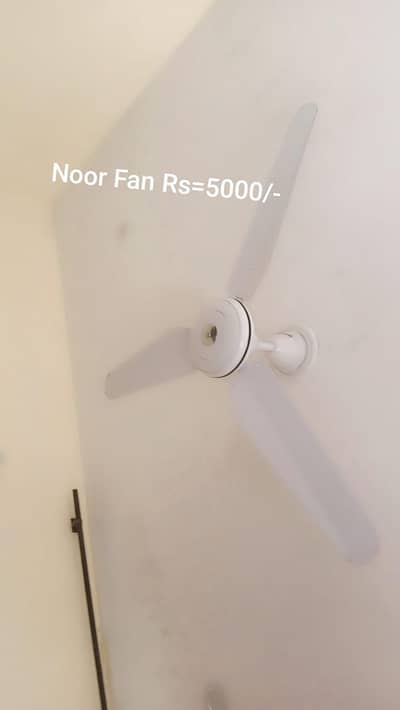Urgent Fans Sale
