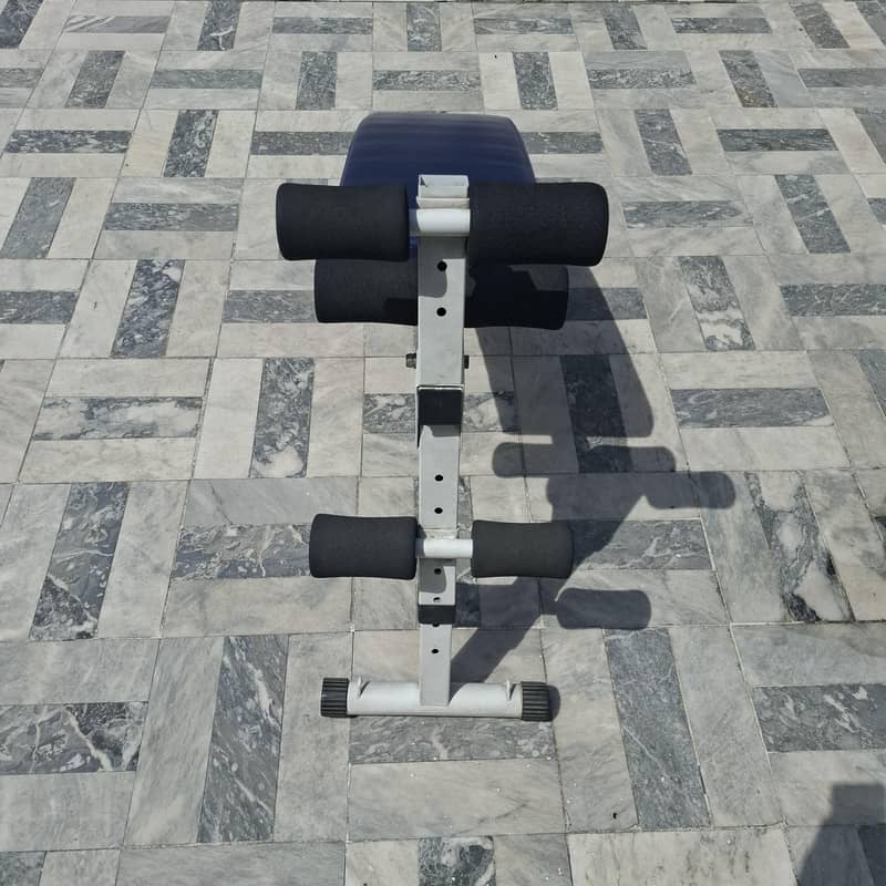 Abdominal Excerciser 1