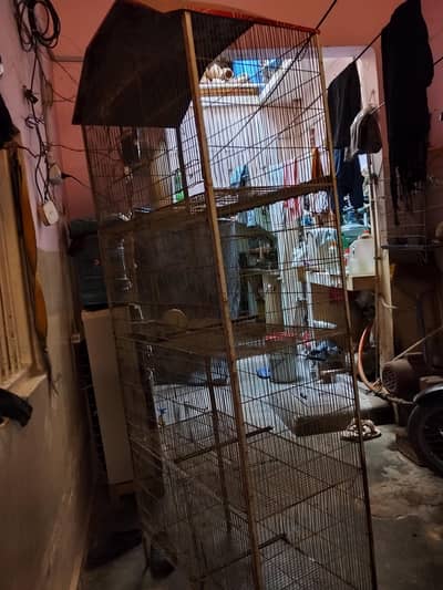 birds cage