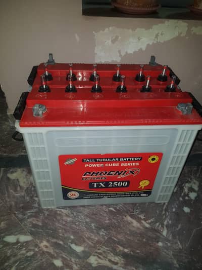 phoenix tall tabular batteries Tx 2500