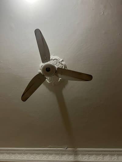 10 Fans for sale