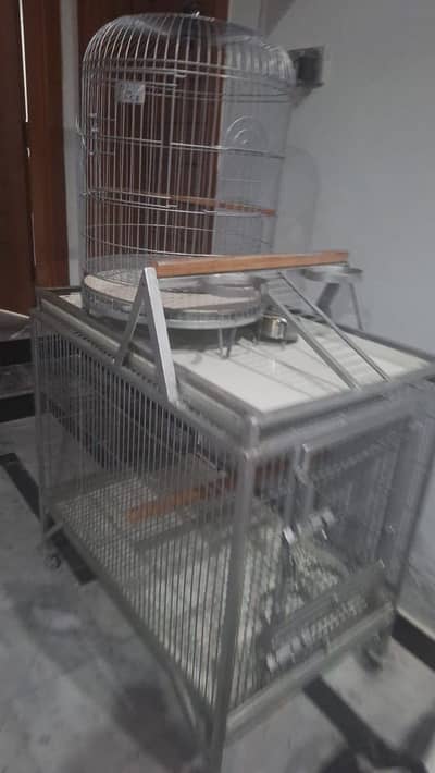 gray parrot cage