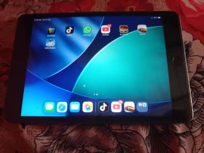I pad mini 5