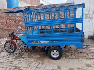 loder chinchi Raksha