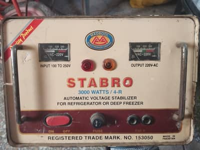 staplizer 3000 watts