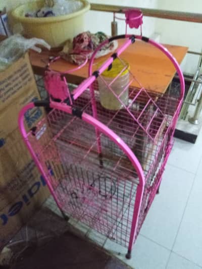 Bird cage's