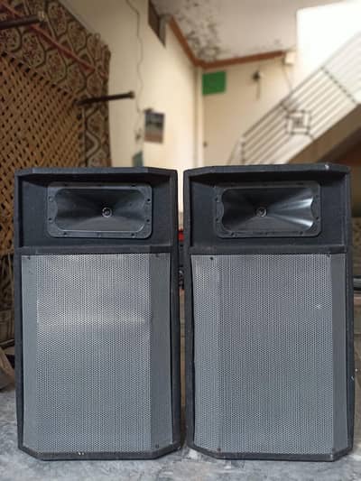 Powerful DJ / PA Speakers Pair