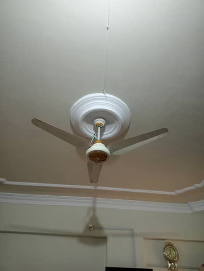 ceiling fan