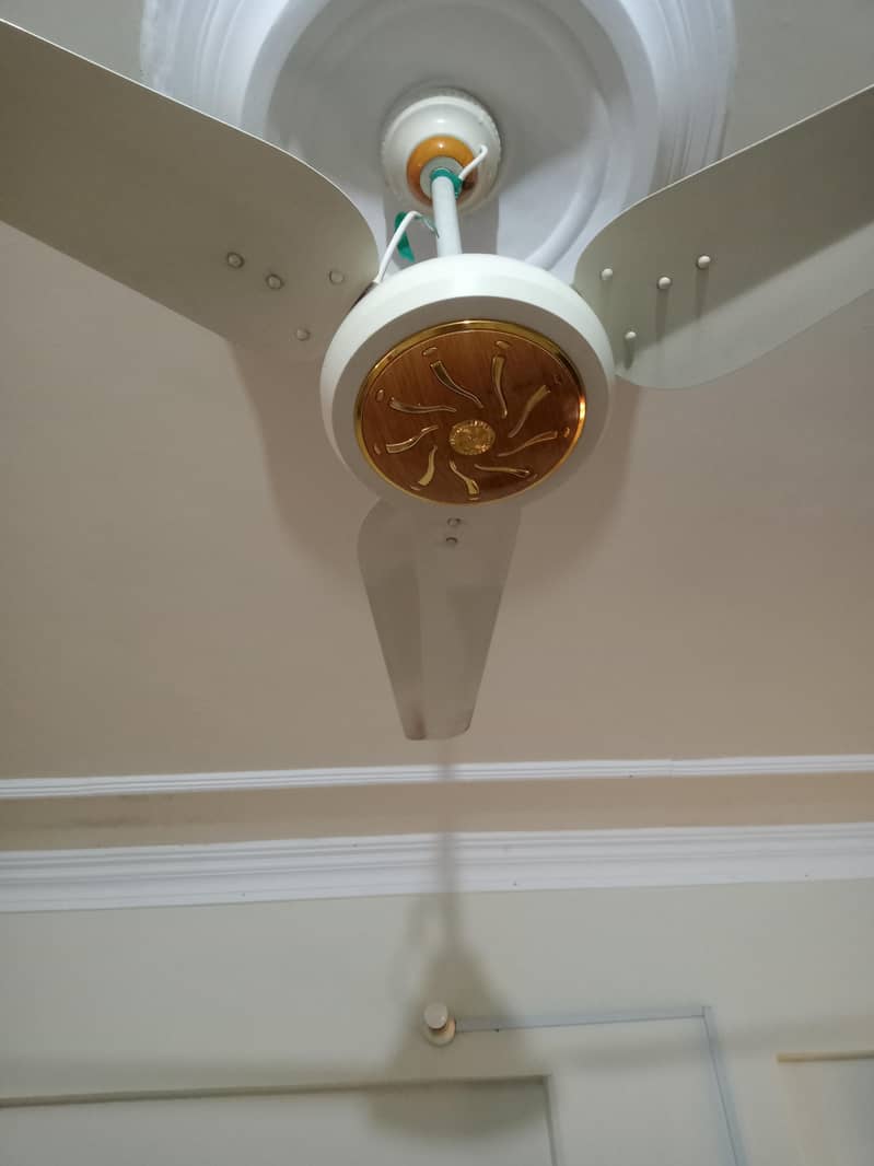 ceiling fan 1