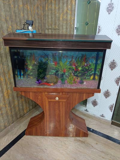 Fish Aquarium