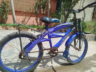 Cruiser Bicycle 20' frame