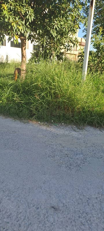 C Block 5 Marla Heighted Location Plot Available For Sale At Investor Rate