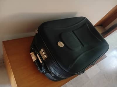 King cod small size luggage bag