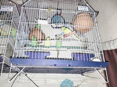 urgent sale