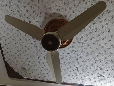 SK Fan ceiling Fan Used