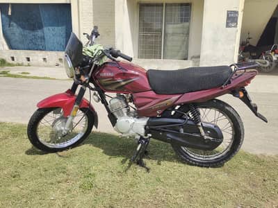 Yamha Ybz 2019 1st owner Urgent sale / Exchange