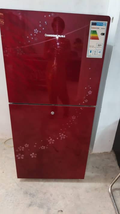 inverter fridge full size