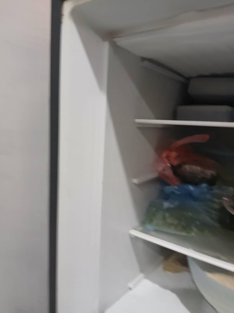 fridge 2