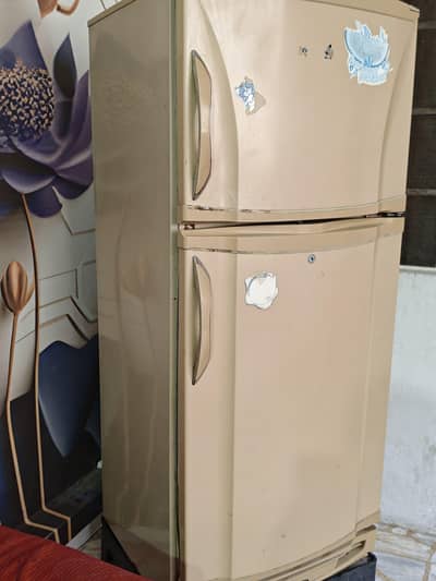 Pel used Refrigerator skin colour