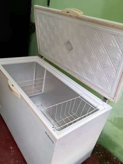 waves deep freezer