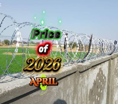 CCTV Security Concertina Barbed Razor Wire Electric Fence Spike Fiber