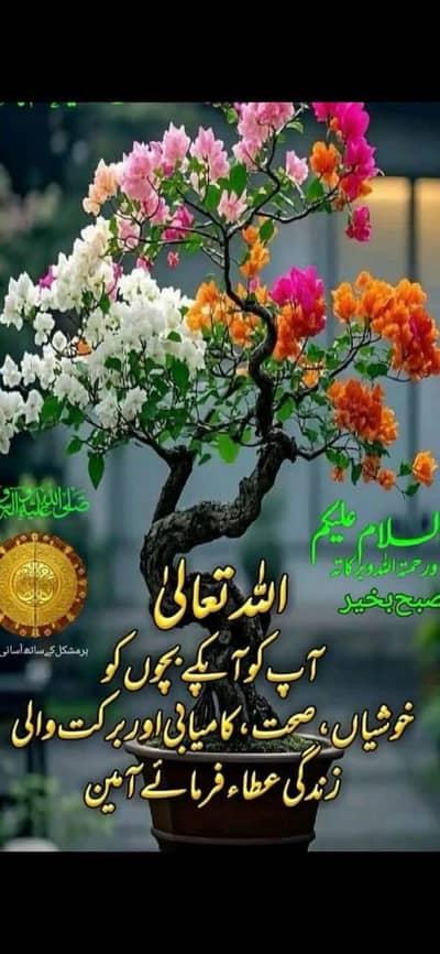 Surface Laptop Studio