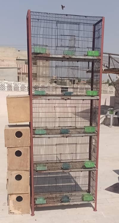cage for sale