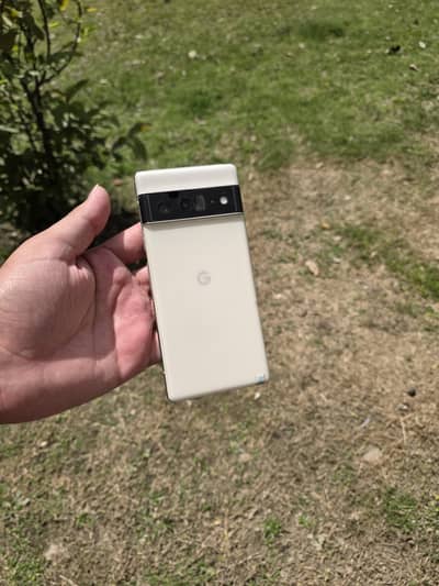 google pixel 6 pro 12/256