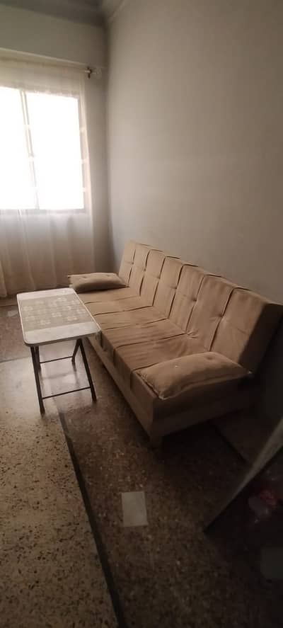 Sofa Cum bee and Settee set